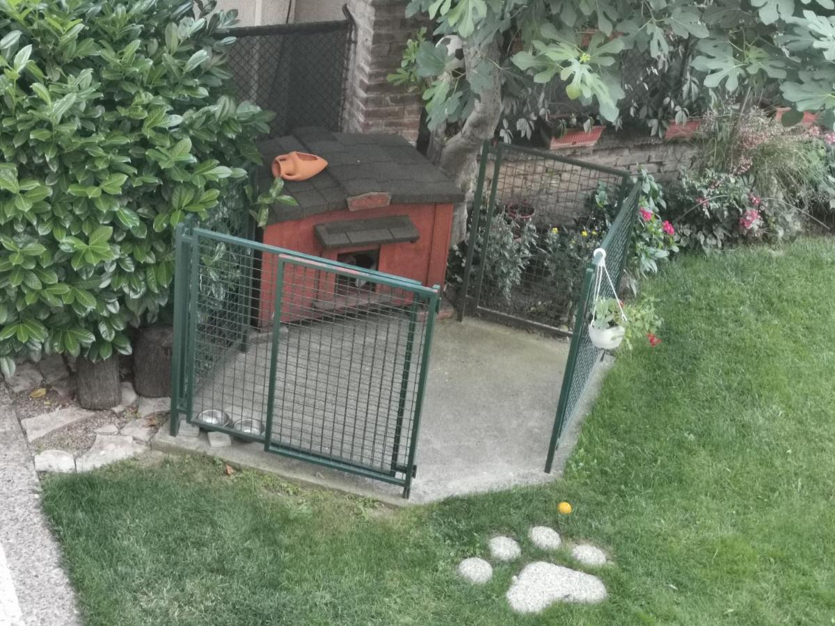 Vukajlo Apartment Belgrad Exteriör bild